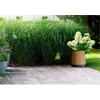 KETER 261030 garden planter bronze