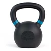 tiguar svoris (kettlebell) RAW 14 kg V2