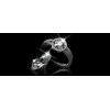 Filtras „Gwiazdkowy Star“ – žvaigždinis filtras 2v1 X4 ir X8, K&F Concept, 77 mm 77mm / Kf01.2333