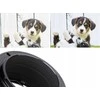 Kf Concept Kf K &amp; f Pro Adapteris Sony E Neks Olympus Om / Kf 06.457