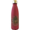 Warner Bros Discovery Nerūdijančio plieno butelis 500 ml Hario Poterio