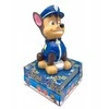 Kids Euroswan Hiszpania KIDS Naktinė lemputė su žadintuvu Laikrodis Data Žadintuvas LCD ekranas Paw Patrol / Paw Patrol / Pw19972
