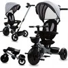 Triratukas Kidwell AXEL Titanium Pilkas