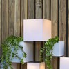 Sieninis šviestuvas Kinkiet New Garden New Garden WALLY 18X18X18 SOLAR WALL