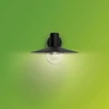 Sieninis šviestuvas Tvirtinamas šviestuvas Philips Skua 1X42W E27
