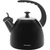 Plieninis virdulys 2,8L Juodas KLAUSBERG KB-7403