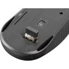 Natec | Klaviatūra ir pelė | Squid 2in1 Bundle | Klaviatūros ir pelės rinkinys | Wireless | Belaidė jungtis | US | Juodas