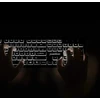 Klaviatūra Perixx PERIBOARD-317, DE, su pašvietimu klaviatūra, USB su laidu, large block letters, juodas (układ niemiecki)