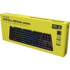 Hator Klaviatūra SilentiumPC Icefall Mecha Rainbow 87 belaidė (HTK287UA)
