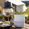 Klean Kanteen Kanteen Rise Lowball (atverčiamas dangtelis), 296 ml / 10 uncijų, tofu