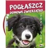 Morex PRINCAS. augintinis - augintinis, glostytas