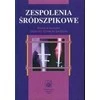 Pzwl Peilio pavadinimas