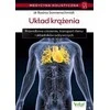 Vital Holistinė medicinA T6 Širdies ir kraujagyslių Sistema