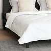 Antklodė su pagalve 3 pcs Balta Mikropluoštas 3378122