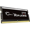 RAM G.Skill | Ripjaws | 16 GB | DDR5 | 5600 MHz | Kompiuteris/serveris | Registracijos Nr. | ECC Nr.