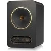 Tannoy GOLD 8 artimojo lauko monitorius 8" 300W