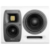 Studijinė monitorinė garso kolonėlė HEDD Audio TYPE 20 MK2, dešinė