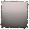 Kontakt-Simon Single Simon Basic 10AX 250V inox (BMW1.01 / 21)