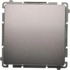 Kontakt-Simon Single Simon Basic 10AX 250V inox (BMW1.01 / 21)