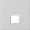 Kontakt Simon 50000185-030 PŁYTKA CONNECT CZYSTA BIEL