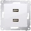 Kontakt-Simon įkroviklis 2xUSB 2.1A 5V / DC sidabro kilimėlis (DC2USB.01 / 43)