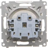 Kontakt-Simon Kontakt-Simon 55 TG1CZ.01/144 kištukinis lizdas be įžeminimo, su langinėmis, modulis 16 A, 250V~, greitos jungtys, šampano matinis