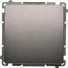 Kontakt-Simon Simon Basic vienvietis 10AX 250V plieno inox (BMW6.01 / 21)