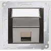 Kontakt-Simon apima elektroninį lizdą single SIMON54 su antracito aprašomojo lauko - DKP1S.01 / 48