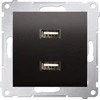 Kontakt-Simon Simon 54 įkroviklis 2xUSB 2.1A 5V / DC antracitas (DC2USB.01 / 48)