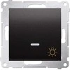 Kontakt-Simon Simon 54 Mygtukas /šviestuvas/ su LED apšvietimu 16AX 250V antracitas DS1AL.01/48