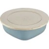 CONNECT BOX maisto indas, sandarus, 1,3 l, KOZIOL