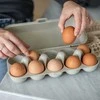 Koziol EGGS TO GO kiaušinių konteineris, 10 kiaušinių, OŽKAS