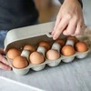Koziol EGGS TO GO kiaušinių konteineris, 10 kiaušinių, OŽKAS