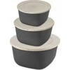 Dėžutė su dangteliu 1l + 2l + 4l, CONNECT BOX SET STOCKHOLM, rinkinys 3 vnt., KOZIOL