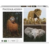 Dėlionė Krups Ambassador Wildlife 3x1000 Pieces (Donal Boyd)