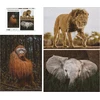 Dėlionė Krups Ambassador Wildlife 3x1000 Pieces (Donal Boyd)