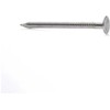 Tolinės vinys HAUSHALT, 32×2,5 mm, 300g