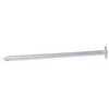 Haushalt Krups SLATE NAILS 3.0X35 ZN 300 G