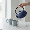 KUMO ketaus virdulys su užpilu, 1000 ml