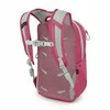 Osprey „Daylite Jr. Pack“ vaikiška kuprinė – rausva, šalta mėta