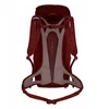 Bordo moteriška 30 l kuprinė Alp Mate SALEWA