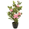 Kwiatydonice ATMOSPHERA Dirbtinis augalas vazone, įvairių spalvų, 50 cm