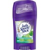 Lady Speed Stick LADY SPEED STICK Orchard Blossom dezodorantas-stiklinis 40 g