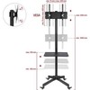 Laikiklis Fiber Mount Ergosolid „Falco 24“ grindų stovas 32–55 colių