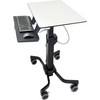 Laikiklis Ergotron TeachWell II 24-220-055