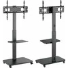 Laikiklis MOZOS MSTV MOBILNY STOJAK TV STAND DO TELEWIZORA MONITORA