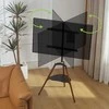 Laikiklis Techly TV trikojis stovas 32-65'' iki 32kg reguliuojamas su medine lentyna