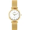 Laikrodis BISSET Noa V BSBE92GISX03BX