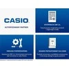 Laikrodis Casio WS-1500H-3BVEF
