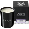 Lalique Figuier Amalfi Fig Scented Candle, 190 g